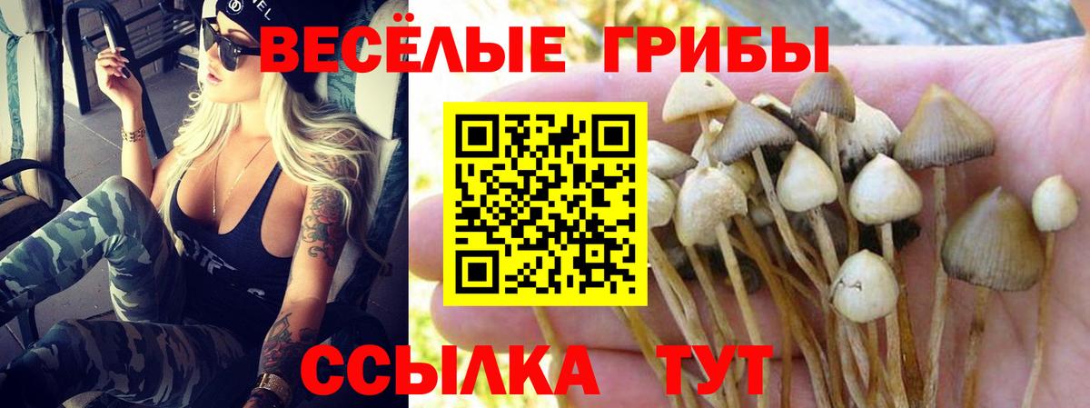 Псилоцибиновые грибы мицелий Красный Сулин